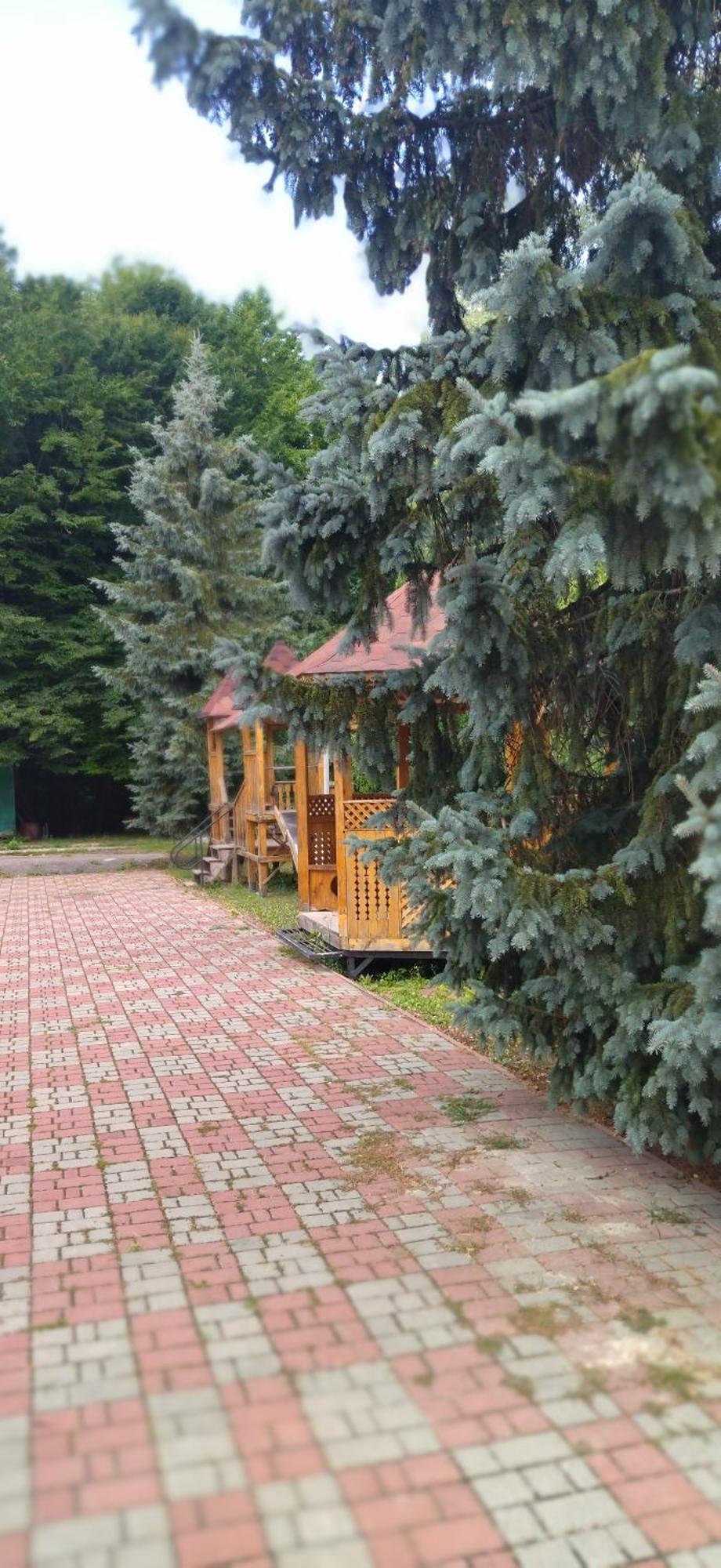 Санаторій Збруч Otel Sataniv Dış mekan fotoğraf